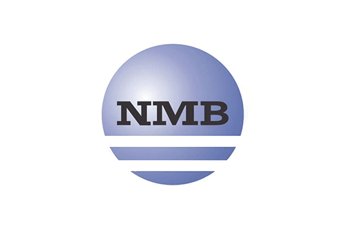NMB racing bearings